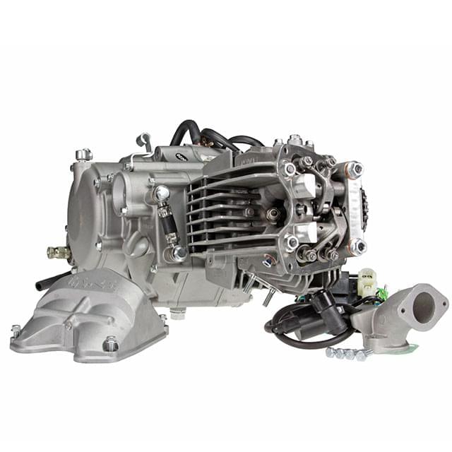 Daytona ANIMA 150cc 4V Engine, Pitbike