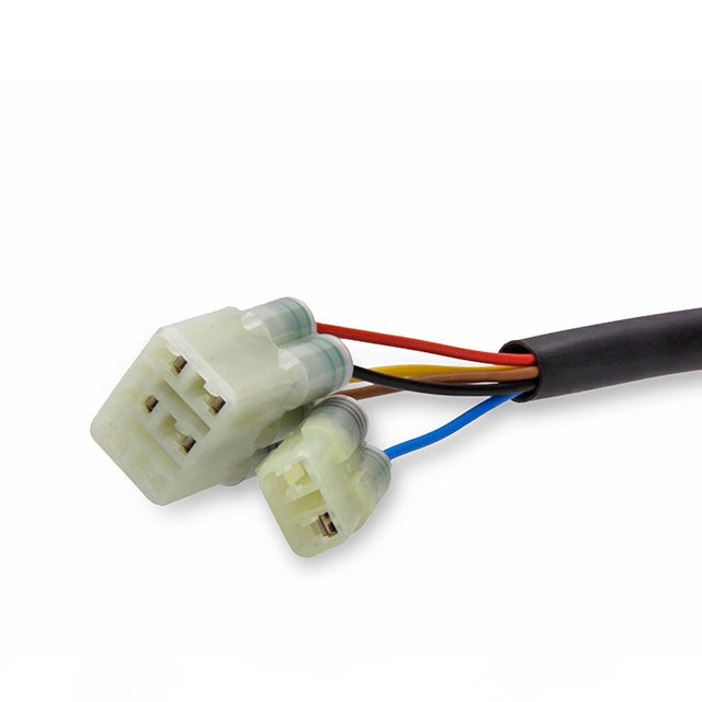 Cableado centralita Kymco AK550 Rapid Bike Easy