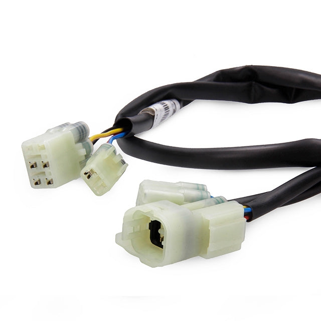 Cableado centralita Kymco AK550 Rapid Bike Easy