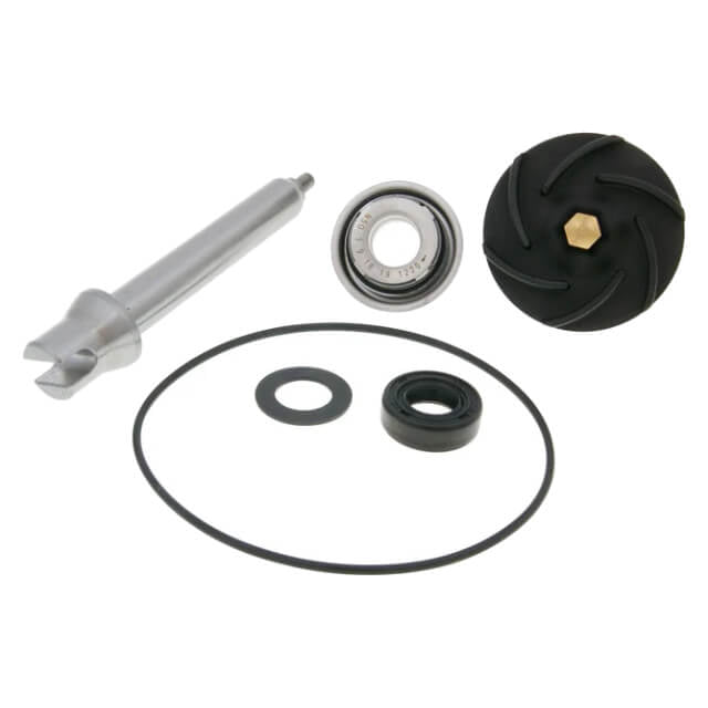 Water pump repair kit Gilera Fuoco / Nexus 500 Top Performances