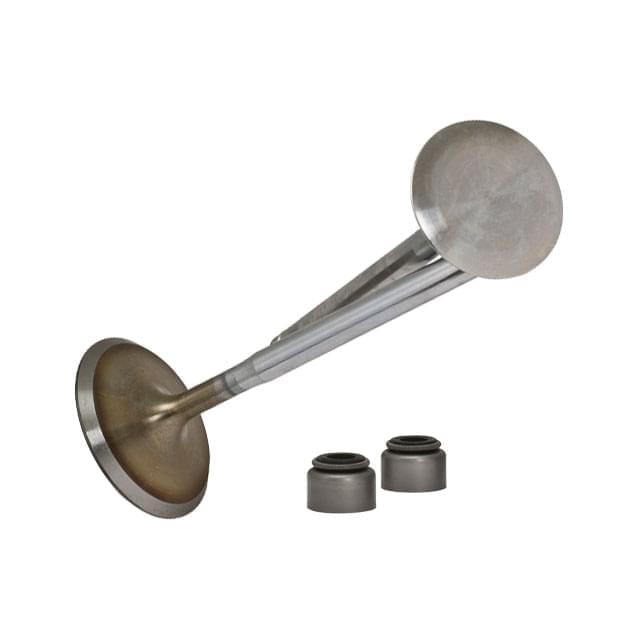 Honda Foresight 250cc Malossi cylinder head valves