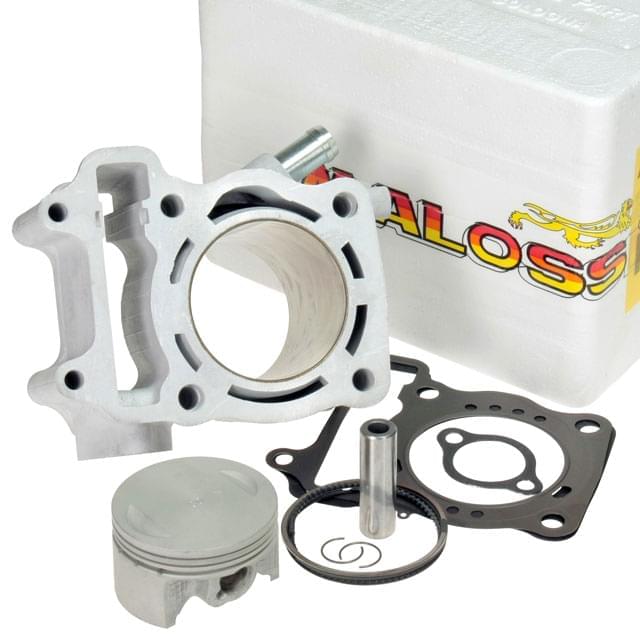 Malossi Aluminum Cylinder 170cc Honda SH / Pantheon 150cc