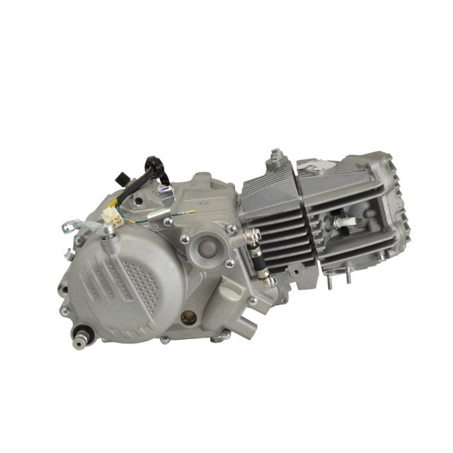 Motor ZS190 Zongshen plata Pitbike AllPro AP100PB10ZS190SI