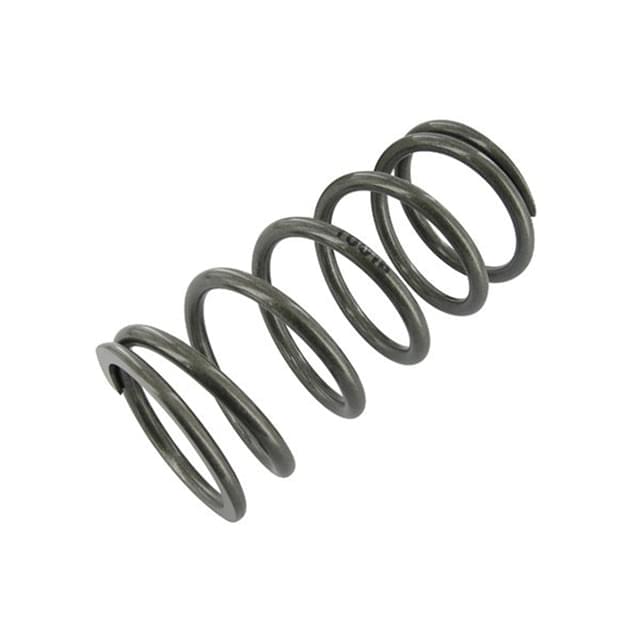 Muelle de amortiguador delantero 100LBS Stage6 R/T S6-146140ET07