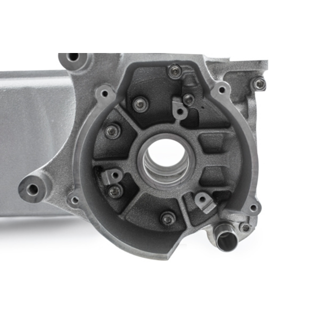 Cárter 2Fast Passion 100cc Minarelli LC