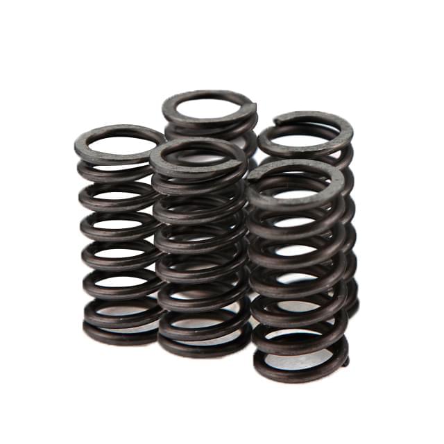 Muelles de embrague Voca Race-Clutch Derbi VCR-RD19192.SP