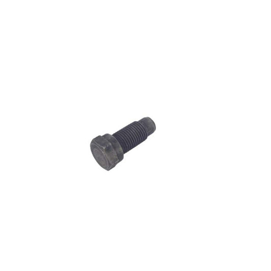 Tornillo fijación trinquete Rieju Minarelli AM6 K/S 0384 0/005.490.9220