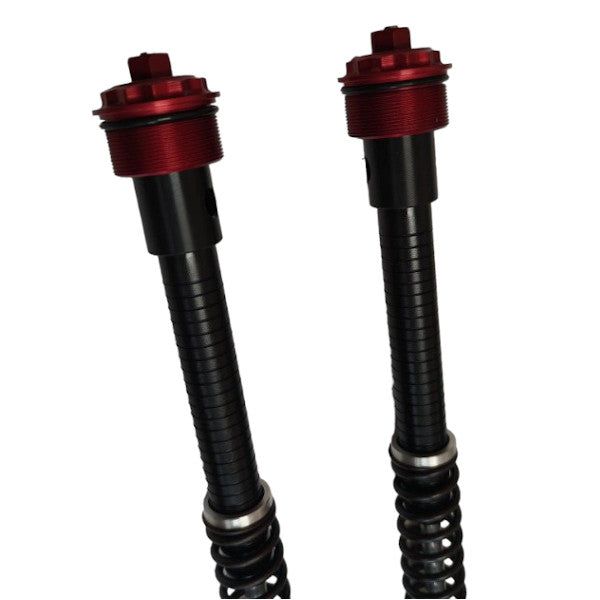 Pitbike Maselli fork cartridges