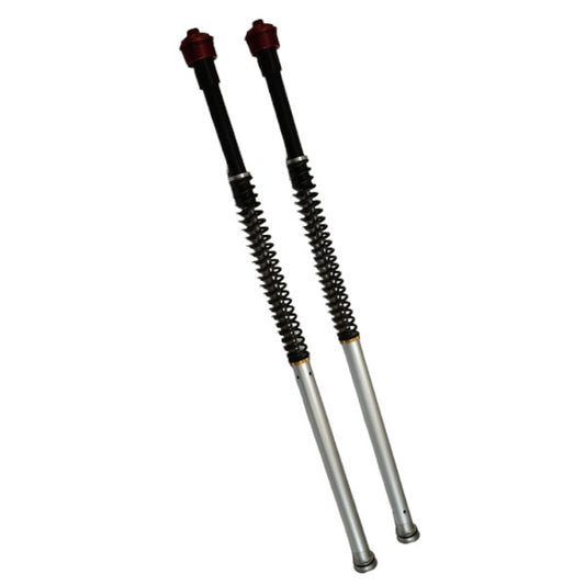 Pitbike Maselli fork cartridges