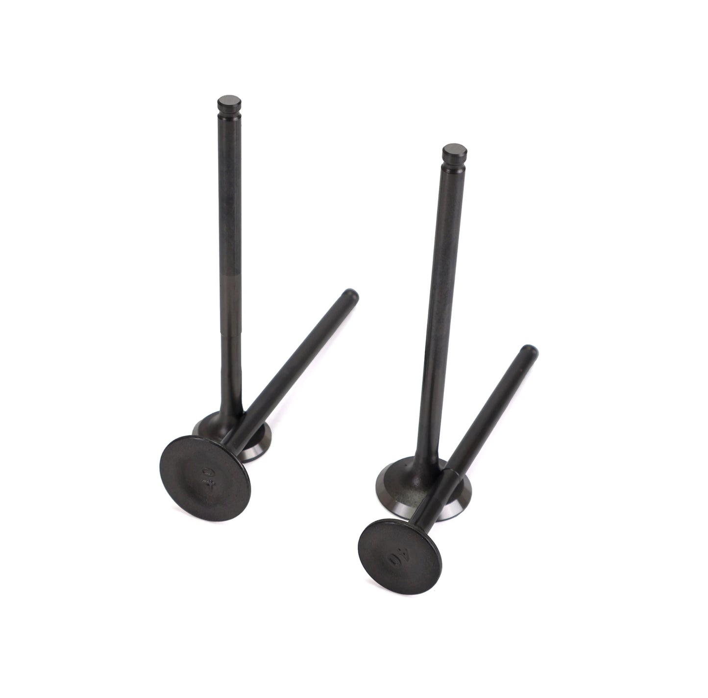 Conjunto de válvulas Honda PCX / SH 125/150 21-24 TNT