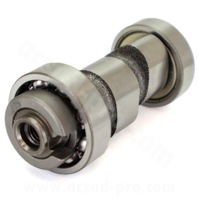 Arbol de levas Yamaha YBR / Rieju RS2 / Derbi Senda 125 TNT 038604