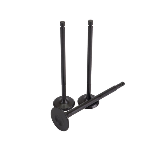 Conjunto de válvulas Piaggio Liberty 125/150 3V 13-25 TNT