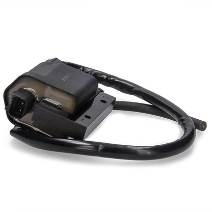 Bobina de alta Kymco/Peugeot/Piaggio/Sym SGR 04162422