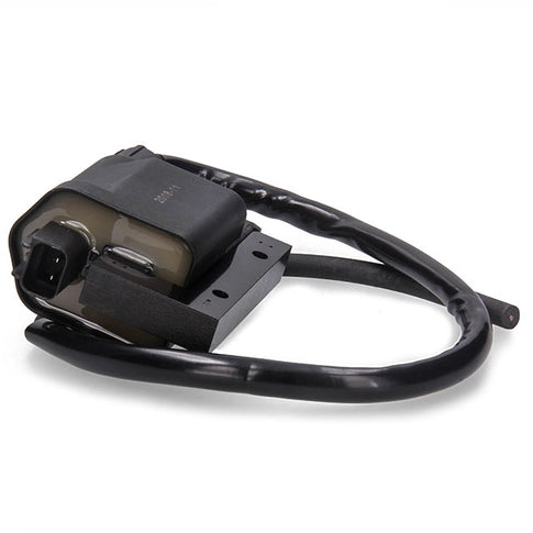 Bobina de alta Kymco/Peugeot/Piaggio/Sym SGR 04162422