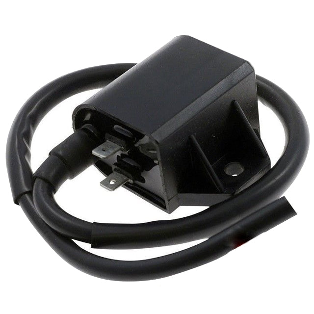 Bobina / CDI 2 Pins Suzuki Address / Morini SGR 04401200