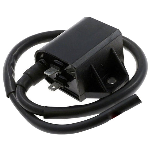Bobina / CDI 2 Pins Suzuki Address / Morini SGR 04401200