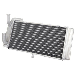 Radiador Yamaha X-Max 125/250 10-13 TNT 093601E