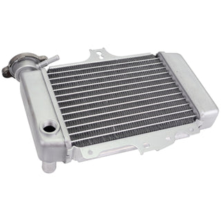 Radiateur Honda SH 125/150 01-04 TNT