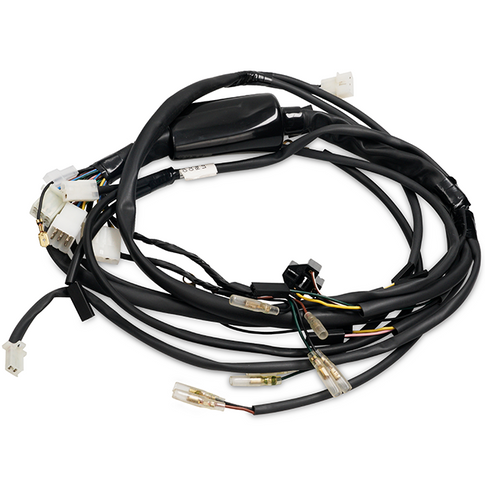 Central electrical installation Rieju RR / Spike 50 05-06