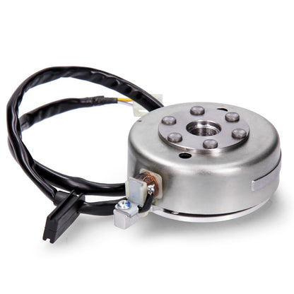 Encendido completo Minarelli AM6 euro 4 Rieju 0/005.822.2544