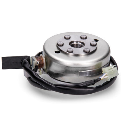 Encendido completo Minarelli AM6 euro 4 Rieju