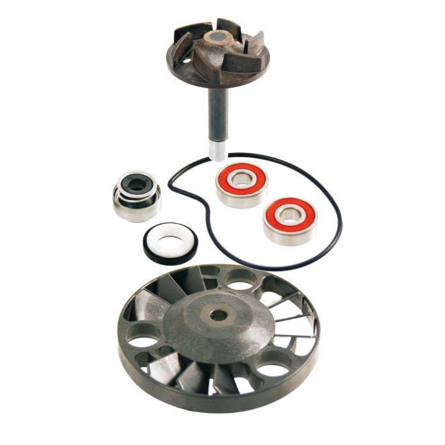 Kit reparación bomba de agua Aprilia / Gilera / Piaggio 125/150/180/200 4T RMS 100110070