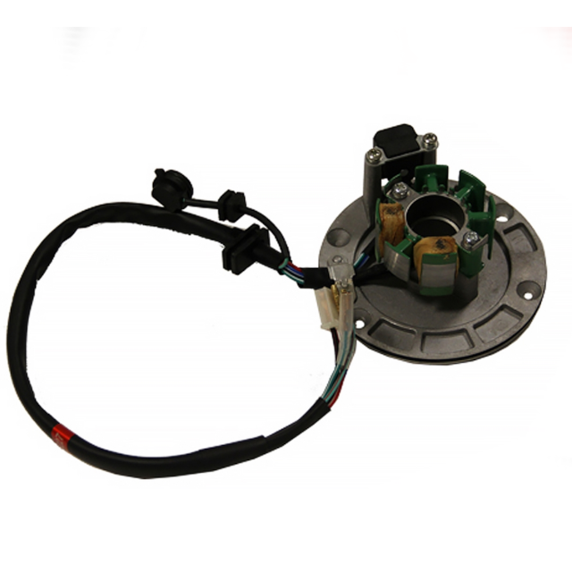 Encendido completo Pitbike motor 125-G-02 Zongshen 100205117-0001