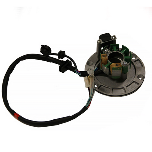 Encendido completo Pitbike motor 125-G-02 Zongshen 100205117-0001