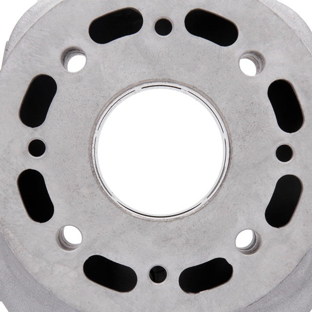 Cilindro Bidalot RF50WR Racing 50cc Derbi euro 3 / 4