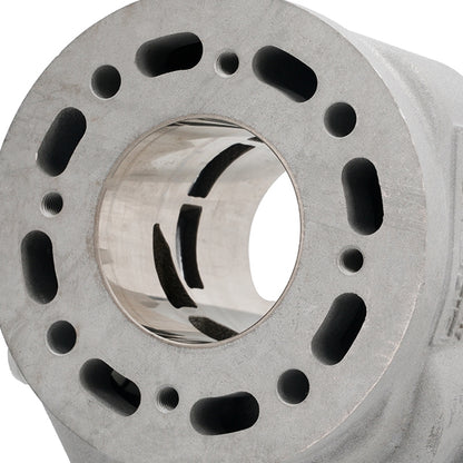 Cilindro Bidalot RF80WR 80cc Derbi euro 2 curso 44,9mm biela 90mm