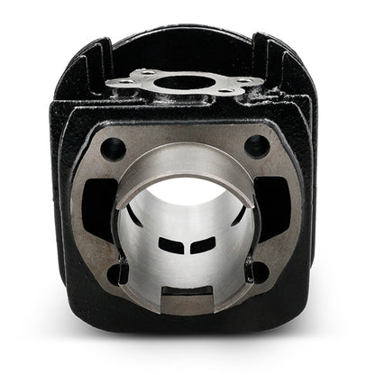 Cilindro Vespino F9 / ALX / Velofax Polini