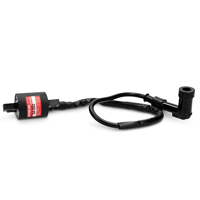 Bobina 6V Yamaha DT LC 50 TW SA1852 Rijomotor