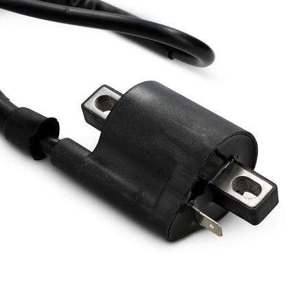 Bobina 6V Yamaha DT LC 50 TW SA1852 Rijomotor