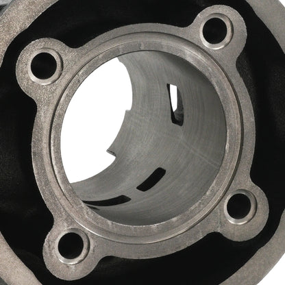 Cylinder and crankshaft kit Polini Iron 80cc Minarelli AM6