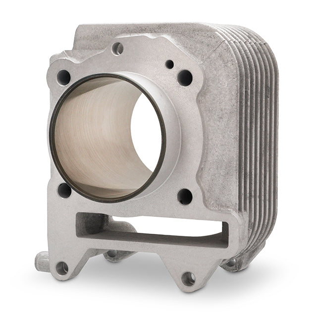 Cilindro Piaggio Liberty 125-150 Iget 3V Euro 5 Polini