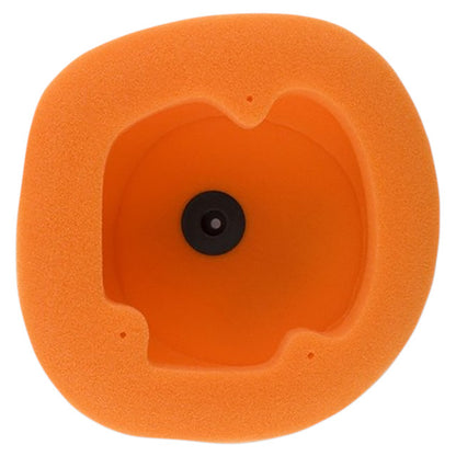 Filtro de aire Beta RR 2T 13-19 Beta RR 4T 15-19 Twin Air