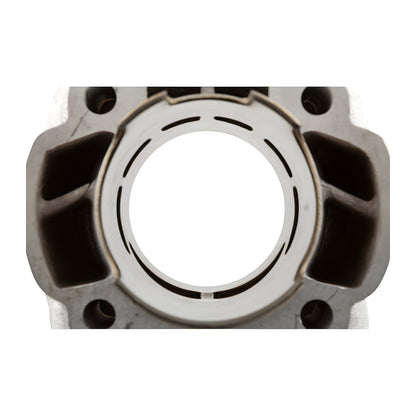Cilindro Polini Evolution 3 70cc Minarelli horizontal LC bulón 12mm