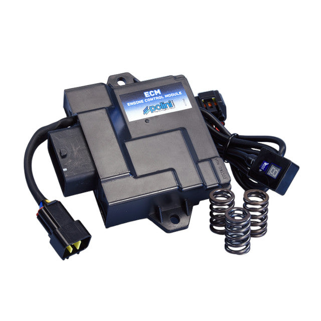 Centralita Polini ECM Piaggio Liberty / Zip 50cc 4T Euro 5 171.0020
