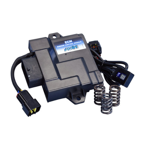 Centralita Polini ECM Piaggio Liberty / Zip 50cc 4T Euro 5 171.0020