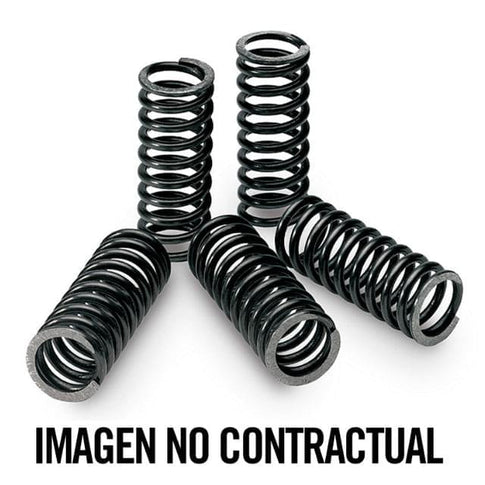 Muelles de embrague Yamaha DT 125-R / KTM SX 85 Tecnium 18447
