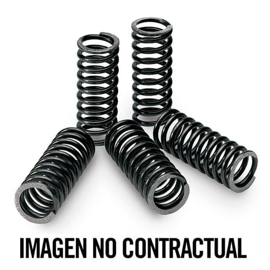 Muelles de embrague Yamaha DT 125-R / KTM SX 85 Tecnium 18447