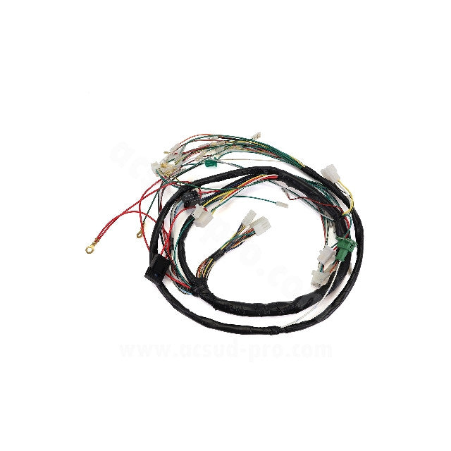 Instalación eléctrica Peugeot Speedfight 2 00-08 TNT 187240F