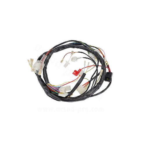 Instalación eléctrica Derbi Senda 50 06-10 TNT 187240H