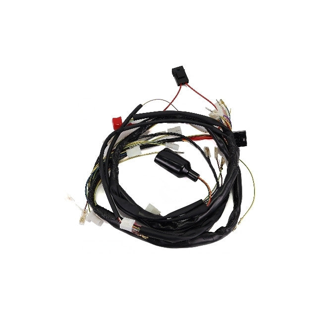 Electrical installation Derbi Senda 50 DRD 06-10 / Aprilia SX/RX 50 06-10 TNT