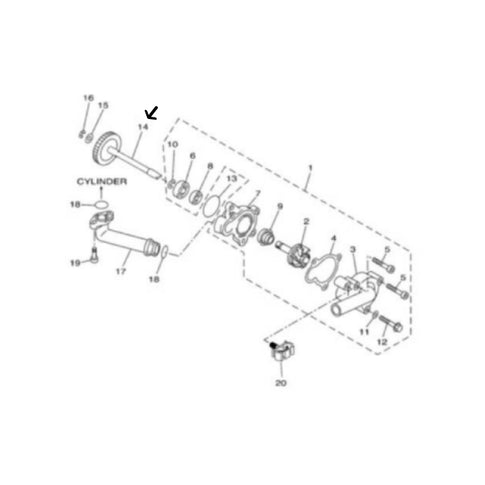 Axe de pignon arrière pompe à eau Yamaha X-Max 250