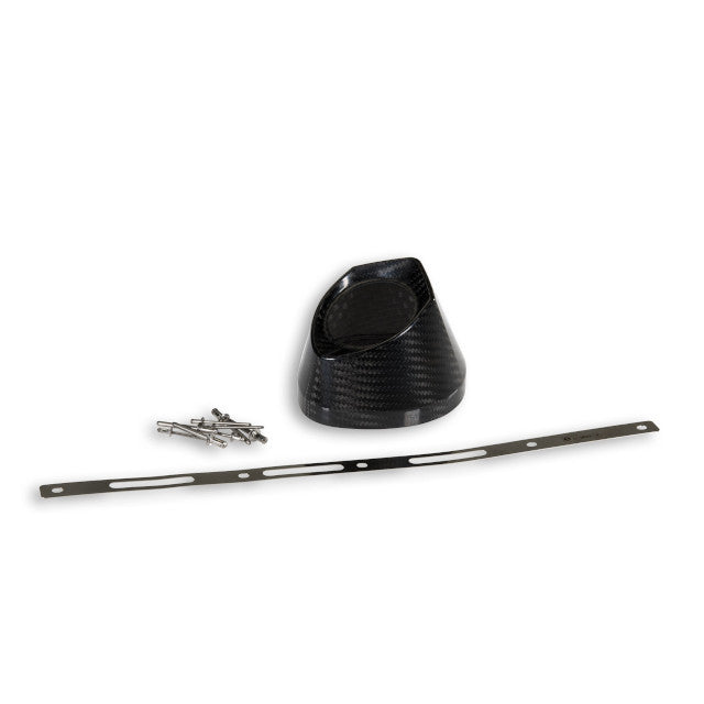Malossi RX exhaust end cap - carbon