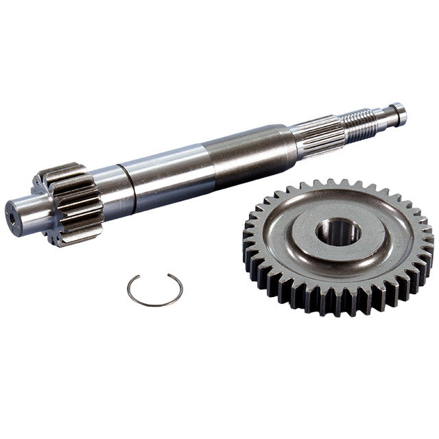 Transmisión primaria Z14/39 Piaggio Zip 50 4T Euro 4 / 5 Polini 202.1429