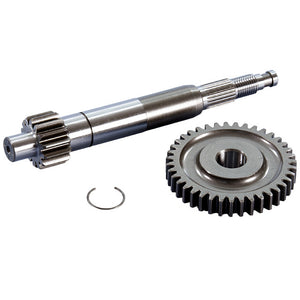 Transmisión primaria Z14/39 Piaggio Zip 50 4T Euro 4 / 5 Polini 202.1429