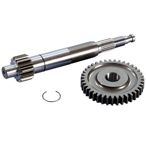 Transmisión primaria Z14/39 Piaggio Zip 50 4T Euro 4 / 5 Polini 202.1429