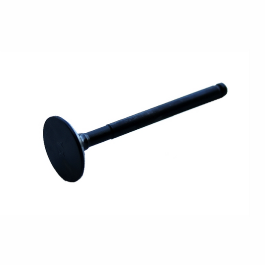 Válvula de escape YX KLX 150 23x71.6x5.5mm Pitbike YCF 210F039